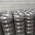 Hot-dip Galvanized Field Fence Netting